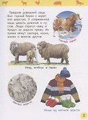 Домашние животные (Энциклопедия для детского сада) - 2