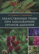 Лекарственные травы при заболеваниях органов дыхания