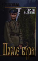 После бури: роман
