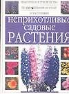 Неприхотливые садовые растения