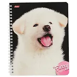 Тетрадь в клетку Hatber, "Пушистые мордочки", 80 листов, в ассортименте