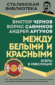 Эсеры между белыми и красными