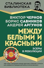Эсеры между белыми и красными