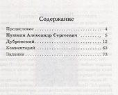 Дубровский. А.С. Пушкин. Книга для чтения с заданиями (B1) - 1