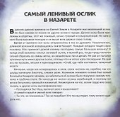 Маленький ослик Марии - 1
