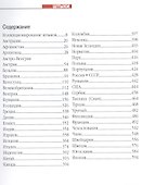 Штыки - 1