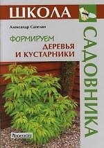 Формируем деревья и кустарники