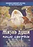 Жизнь души после смерти Православный взгляд на мир невидимый (м) - 0