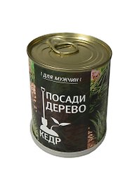 Подарочный набор для выращивания Посади дерево Кедр (410817)
