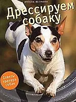 Дрессируем собаку