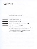 Мастера и подмастерья русской поэзии. Биографические очерки - 2