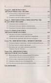 Язык и поэтика русской прозы в эпоху постмодерна - 2
