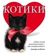 Котики