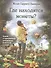 Где находятся монеты? Ключи к гармоничным отношениям родителей и детей - 0
