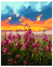 Набор для творчества LORI. Картина по номерам "Иван-чай"