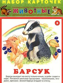 Животные