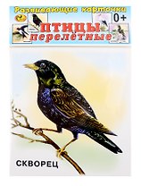 Развивающие карточки Птицы перелетные (0+) (12 карточек)