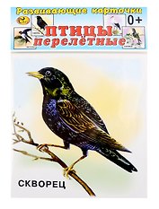 Развивающие карточки Птицы перелетные (0+) (12 карточек)
