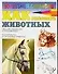 Как рисовать животных: Общие сведения о рисовании. Материалы и способы работы - 0
