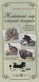 Животный мир Северной Америки. Обычные, но ни на кого не похожие