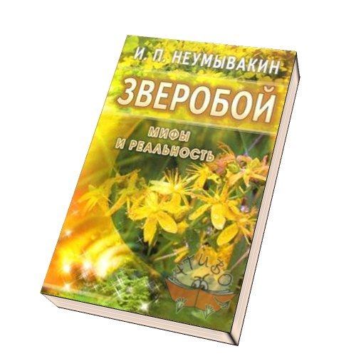 

Зверобой: мифы и реальность