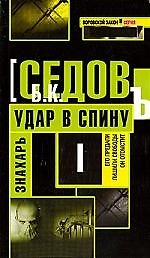 Знахарь. Удар в спину: Роман.