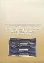 Породы и одомашненные формы осетровых рыб. Acipenseridae