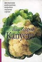 Капуста