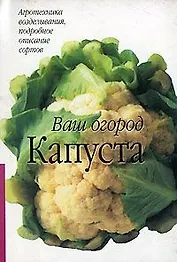 Капуста