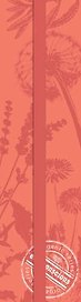 Закладка картонная для книг, 17х4,5 см. с резинкой