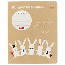 Предметная тетрадь в клетку «Белый кролик. Обществознание», 48 листов