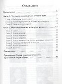 Экспресс-рецепты. Готовим в мультиварке - 1