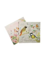 Набор салфеток для декупажа Птицы (НСД2144) (2шт) (упаковка)
