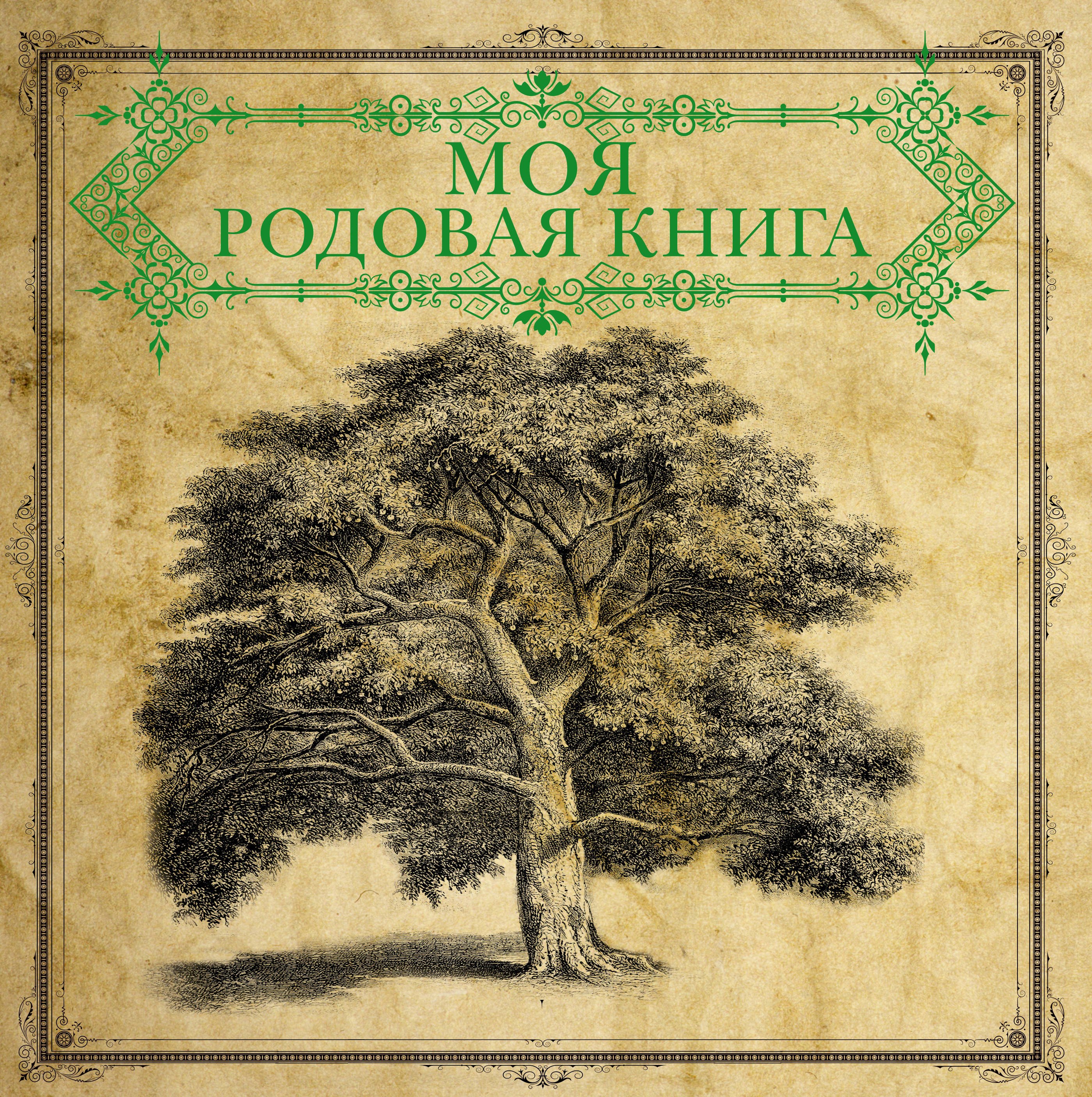

Моя родовая книга = История нашего рода