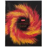 Тетрадь в клетку Hatber, "Головокружение", 80 листов, в ассортименте