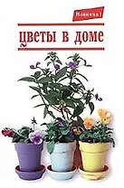Цветы в доме