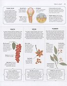 The Science of Spice. Understand Flavour Connections and Revolutionize your Cooking - 2