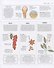 The Science of Spice. Understand Flavour Connections and Revolutionize your Cooking - 2