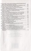 Восточное языкознание. К 80-летию Ю.А. Рубинчика - 2