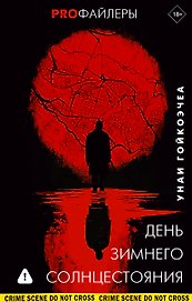 День зимнего солнцестояния