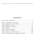 Повседневная жизнь викингов. Быт, религия, культура - 1