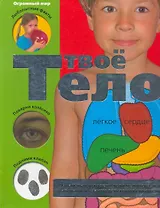 Твое тело