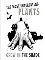 The most interesting plants grow in the shade. Вещь. Блокнот в точку