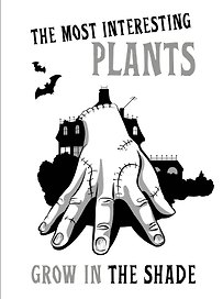 The most interesting plants grow in the shade. Вещь. Блокнот в точку