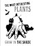 Книга для записей «The Most Interesting Plants Grow in the Shade. Вещь», А5, 80 листов, в точку, Эксмо - 0
