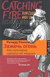 Зажечь огонь.  Как кулинария сделала нас людьми