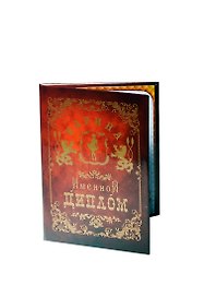 Диплом именной «Карина», Мастер