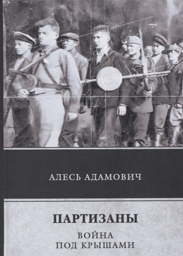 

Партизаны. Война под крышами