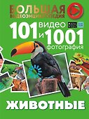 Животные. 101 видео и 1001 фотография - 0