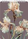 Блокнот в клетку "Blossom. Ирисы, темный", А5, 80 листов, спираль